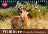 Buchcover Wildtiere. Heimische Schönheiten (Tischkalender 2018 DIN A5 quer)