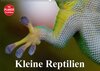 Buchcover Kleine Reptilien (Wandkalender 2018 DIN A2 quer)