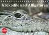 Buchcover Krokodile und Alligatoren (Tischkalender 2018 DIN A5 quer)