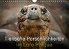 Buchcover Tierische Persönlichkeiten im Loro Parque (Wandkalender 2018 DIN A4 quer)
