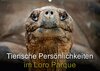 Buchcover Tierische Persönlichkeiten im Loro Parque (Wandkalender 2018 DIN A2 quer)