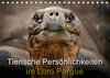 Buchcover Tierische Persönlichkeiten im Loro Parque (Tischkalender 2018 DIN A5 quer)