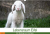 Buchcover Lebensraum Eifel (Wandkalender 2018 DIN A3 quer)