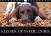 Buchcover Faszination Jagdhund - Kleiner Münsterländer (Wandkalender 2018 DIN A4 quer)