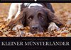 Buchcover Faszination Jagdhund - Kleiner Münsterländer (Wandkalender 2018 DIN A2 quer)