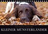 Buchcover Faszination Jagdhund - Kleiner Münsterländer (Tischkalender 2018 DIN A5 quer)