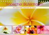 Buchcover Tropischer Blütentraum (Tischkalender 2018 DIN A5 quer)