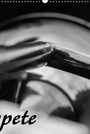 Buchcover ISBN 9783669346313