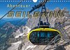 Buchcover Abenteuer Seilbahn (Wandkalender 2018 DIN A4 quer)