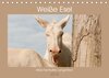 Buchcover Weiße Esel - Märchenhafte Langohren (Tischkalender 2018 DIN A5 quer)