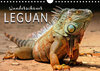Buchcover Wunderschöner Leguan (Wandkalender 2018 DIN A4 quer)