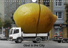 Buchcover Obst in the City (Wandkalender 2019 DIN A4 quer)