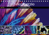 Buchcover Mikrokristalle in polarisiertem Licht (Tischkalender 2019 DIN A5 quer)