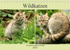 Buchcover Wildkatzen - Die lautlosen Jäger des Waldes (Tischkalender 2019 DIN A5 quer)