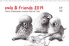 Buchcover owls & friends 2019 (Wandkalender 2019 DIN A3 quer)
