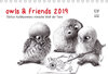 Buchcover owls & friends 2019 (Tischkalender 2019 DIN A5 quer)