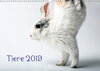 Buchcover Tiere 2019 (Wandkalender 2019 DIN A3 quer)