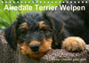 Buchcover Airedale Terrier Welpen (Tischkalender 2019 DIN A5 quer)