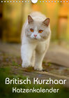 Buchcover Britisch Kurzhaar Katzenkalender (Wandkalender 2019 DIN A4 hoch)