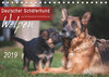 Buchcover Deutscher Schäferhund - Welpen / CH-Version (Tischkalender 2019 DIN A5 quer)