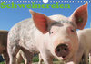 Buchcover Schweinereien (Wandkalender 2019 DIN A4 quer)