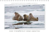 Buchcover Emotionale Momente: Die Tierwelt der Arktis / CH-Version (Tischkalender 2019 DIN A5 quer)