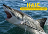 Buchcover Haie. Erfolgreiche und schnelle Jäger (Wandkalender 2019 DIN A3 quer)