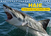 Buchcover Haie. Erfolgreiche und schnelle Jäger (Tischkalender 2019 DIN A5 quer)