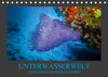 Buchcover Unterwasserwelt - Das Leben am Korallenriff (Tischkalender 2019 DIN A5 quer)