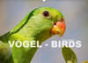 Buchcover Vögel - Birds (Wandkalender 2019 DIN A2 quer)