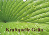 Buchcover Kraftquelle Grün (Wandkalender 2019 DIN A4 quer)