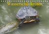 Buchcover Wasserschildkröten (Tischkalender 2019 DIN A5 quer)