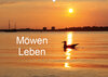 Buchcover Möwen Leben (Wandkalender 2019 DIN A2 quer)