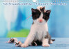 Buchcover Tierfreundschaften - Freunde fürs Leben (Wandkalender 2019 DIN A4 quer)