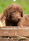 Buchcover Chesapeake Bay Retriever 2019 (Wandkalender 2019 DIN A4 hoch)
