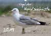 Buchcover Vögel der Nordseeküste (Wandkalender 2019 DIN A3 quer)