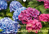 Buchcover Prachtvolle Gartenhortensie (Wandkalender 2019 DIN A4 quer)