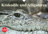 Buchcover Krokodile und Alligatoren (Wandkalender 2019 DIN A4 quer)