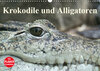 Buchcover Krokodile und Alligatoren (Wandkalender 2019 DIN A3 quer)