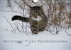 Buchcover Haustiger - Ein Katzenkalender (Wandkalender 2019 DIN A4 quer)