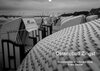 Buchcover Ostseebad Zingst - Impressionen in Schwarz-Weiß (Wandkalender 2019 DIN A2 quer)