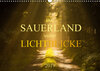 Buchcover Das Sauerland voller Lichtblicke (Wandkalender 2019 DIN A3 quer)