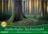 Buchcover Zauberhafter Sachsenwald (Wandkalender 2019 DIN A2 quer)