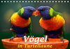 Buchcover Vögel in Turtellaune (Tischkalender 2019 DIN A5 quer)