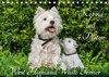Buchcover Kobold auf 4 Pfoten - West Highland White Terrier (Tischkalender 2019 DIN A5 quer)