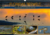 Buchcover FLORIDAS TIERWELT (Wandkalender 2019 DIN A3 quer)