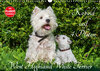 Buchcover Kobold auf 4 Pfoten - West Highland White Terrier (Wandkalender 2019 DIN A3 quer)