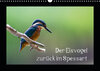 Buchcover Der Eisvogel zurück im Spessart (Wandkalender 2019 DIN A3 quer)