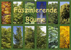 Buchcover Faszinierende Bäume (Wandkalender 2019 DIN A2 quer)