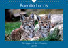 Buchcover Familie Luchs - Die Jäger mit dem Pinselohr (Wandkalender 2019 DIN A4 quer)